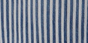 Blue Stripe